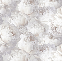 Обои VS PEONY  арт.585332