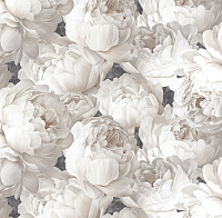 Обои VS PEONY  арт.585338