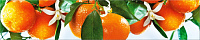 Дек. листовая панель ABS Спелые мандарины1,5*600*3000