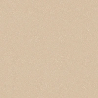 Линолеум АКЦЕНТ ПРО АСПЕКТ 5  комм. 2,0м.