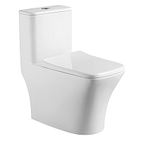 Унитаз-моноблок Azario Teano AZ-8621 с сидением дюропласт м/л