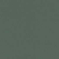 Обои Trend Color Lines ГТ ФО 1,06х10  арт.TC72377-77 фон