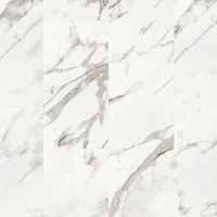 Ламинат винил. 31кл. BlackWood  ЛЕТА 580х300х3.85 /0,3  /10шт