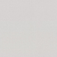Обои Trend Color Lines ГТ ФО 1,06х10  арт.TC72377-12 фон